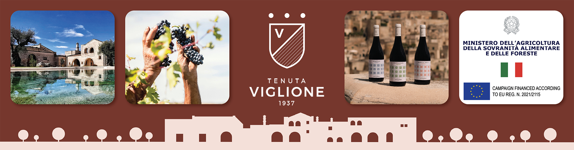 Viglione Wine